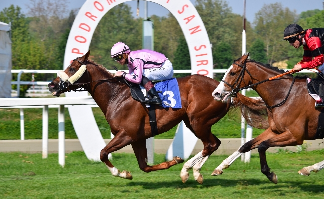 Ippica 1° maggio di sport e divertimento all'Ippodromo Snai San Siro con il Premio Parioli e il Regina Elena