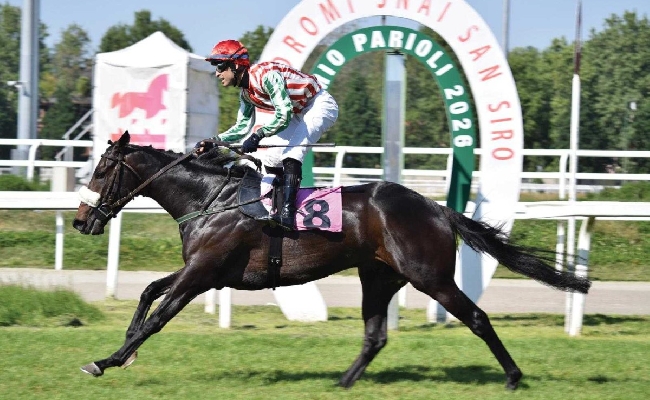 Ippica 1° maggio di galoppo all’Ippodromo Snai San Siro: trionfano Grand Son of Dark e Just Call Me Angel