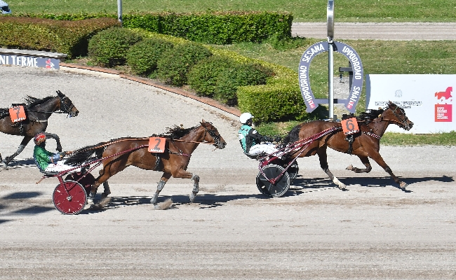 Ippica Ippodromo Snai Sesana: nel 1° maggio di trotto festeggia Antonio di Nardo autore di un poker di vittorie