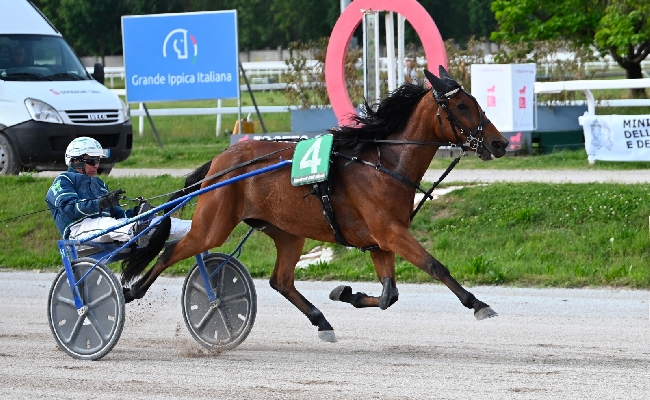 Ippica Ippodromo Snai San Siro trotto Giulia Dance Premio Allevamento Bigi