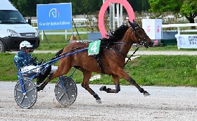 Ippica Ippodromo Snai San Siro trotto Giulia Dance Premio Allevamento Bigi