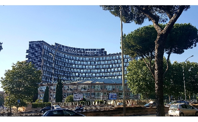Regione Lazio piano gioco patologico investimento 29 milioni euro