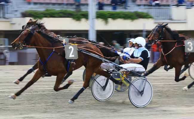 Ippica Ippodromo di Bologna: giovedì 14 maggio top driver e soggetti eccellenti sotto le Due Torri. Otto corse dalle 14:55