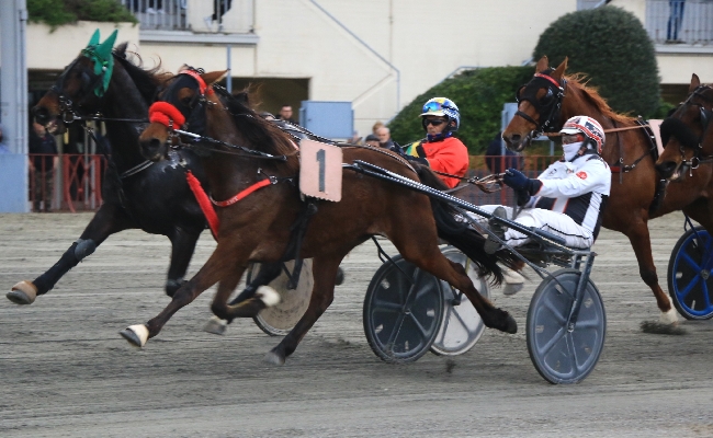 Ippica Ippodromo Arcoveggio di Bologna: lunedì 18 maggio otto corse dalle 15:30
