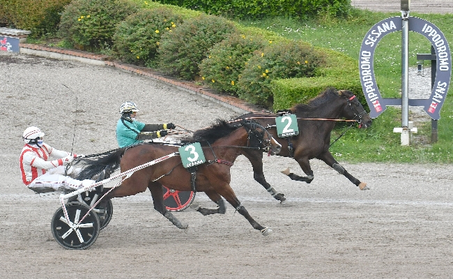 Ippica Ippodromo Snai Sesana: Emily vince il Premio Alouette