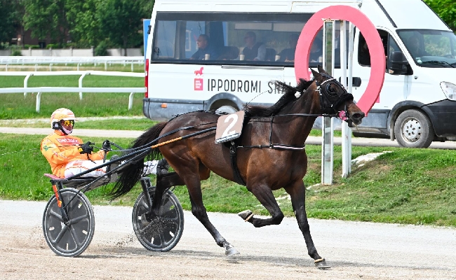Ippica Ippodromo Snai San Siro: “Breeder Course” nel martedì di trotto che premia In The Night Gar e Italo Jet