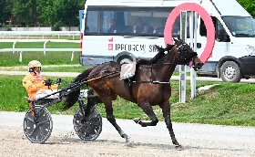 Ippica Ippodromo Snai San Siro: “Breeder Course” nel martedì di trotto che premia In The Night Gar e Italo Jet