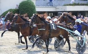 Ippica Ippodromo Arcoveggio Bologna: martedì 2 giugno il Gran Premio della Repubblica