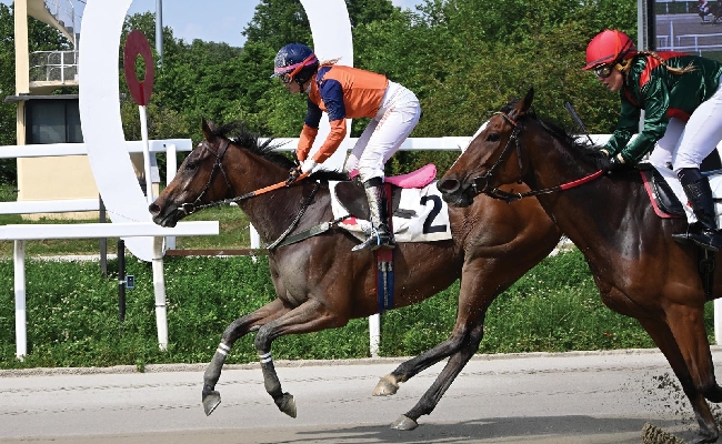 Ippica nel mercoledì di galoppo all'Ippodromo Snai San Siro esulta Baby Anita che vince il Premio Terenzio Manili