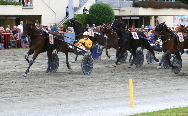 Ippica Ippodromo di Bologna: martedì 2 giugno luci accese per Il Gran Premio della Repubblica e per le altre sette corse in programma