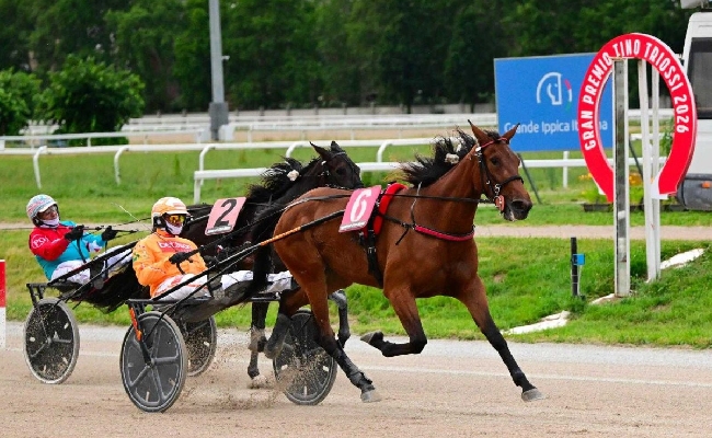 Ippica Il Trio Jet vince il Gran Premio Nazionale e Guglielmo Jet il Triossi nella notturna di trotto all’Ippodromo Snai San Siro