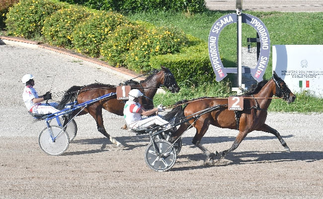 Ippica alla prima di trotto di giugno all'Ippodromo Snai Sesana Indiana Pal Cav non tradisce e vince