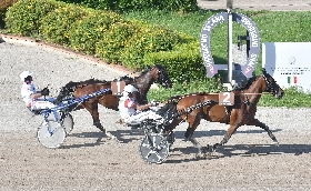 Ippica alla prima di trotto di giugno all'Ippodromo Snai Sesana Indiana Pal Cav non tradisce e vince