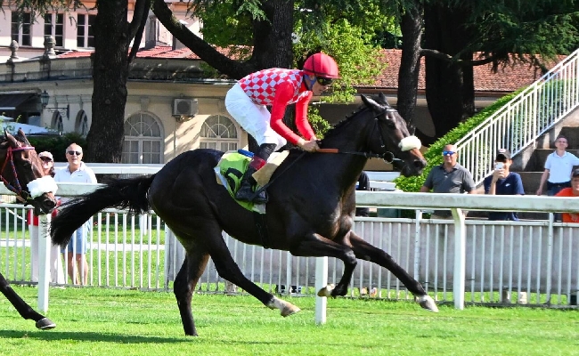 Ippica la domenica in rosa all'Ippodromo Snai San Siro premia la tedesca Bella Sinfonia che si aggiudica il Premio del Giubileo