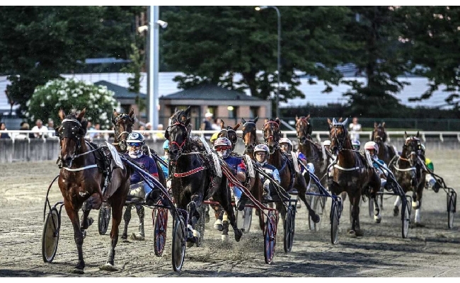 Ippica torna lo spettacolo dell’Ippodromo del Savio: 34 serate di corse