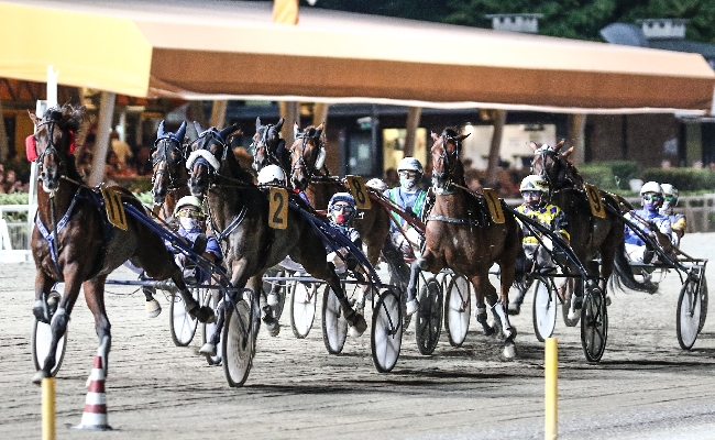Ippica Ippodromo di Cesena: venerdì 12 in programma il Premio Bronchi Combustibili