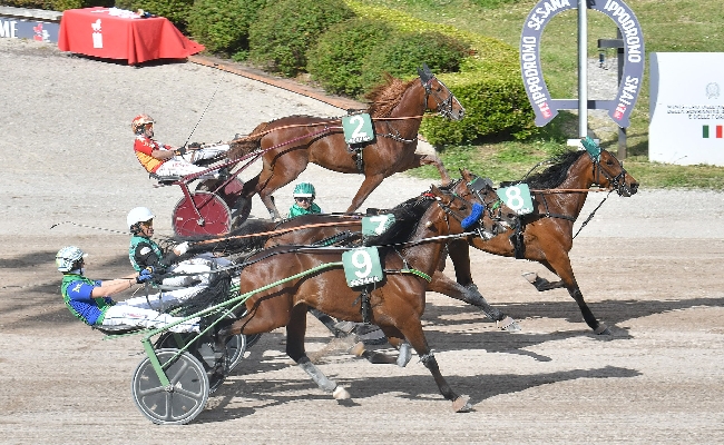 all’ippodromo snai sesana sabato sera con icaro mail che vola alto nel doppio chilometro per i cavalli di 3 anni valido per il premio scuderia valle verde