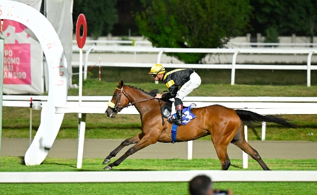 Ippica Ippodromo Snai San Siro martedì galoppo jockey Dario Di Tocco poker vittorie Premio Boffalora