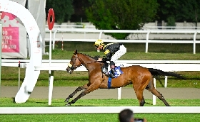 Ippica Ippodromo Snai San Siro martedì galoppo jockey Dario Di Tocco poker vittorie Premio Boffalora