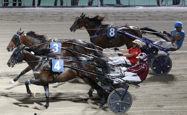 Ippica Ippodromo Cesena Defender Grif Premio I Borghi più belli Italia