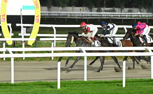 Ippica Ippodromo Snai San Siro venerdì galoppo Verdi Prati handicap limitato velocisti