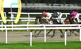 Ippica Ippodromo Snai San Siro venerdì galoppo Verdi Prati handicap limitato velocisti