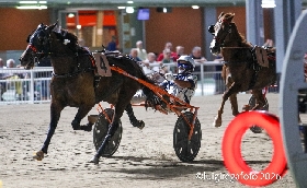 Ippica Ippodromo Cesena: Giordana vince il Premio Club Ippodromo