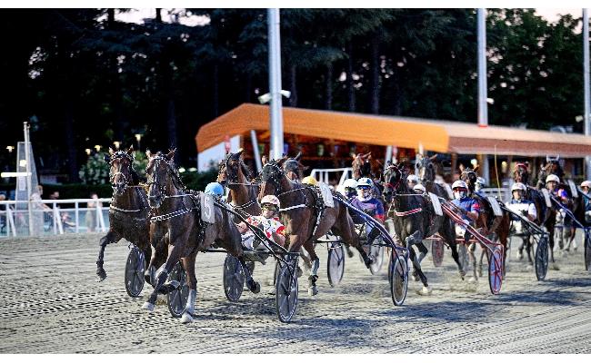Ippica Ippodromo di Cesena: martedì 23 giugno clou per quattro anni. Altre sei corse completano il cartellone dalle 20:45
