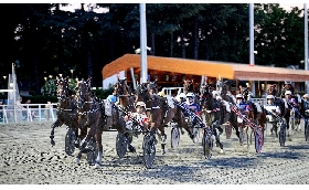 Ippica Ippodromo di Cesena: martedì 23 giugno clou per quattro anni. Altre sei corse completano il cartellone dalle 20:45