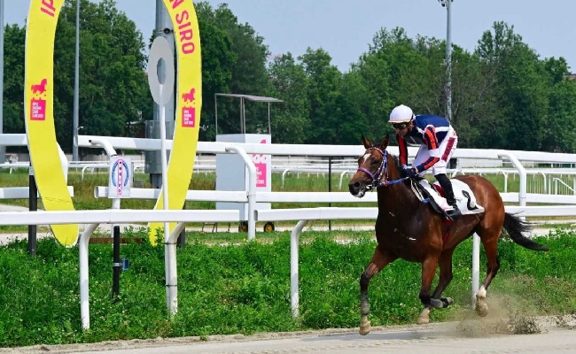 Ippica martedì all’Ippodromo Snai San Siro nuova giornata di galoppo: otto corse al via dalle ore 18:55