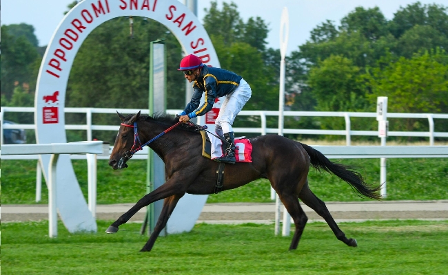 Ippica Ippodromo Snai San Siro: Sax Impact protagonista nel martedì sera di galoppo