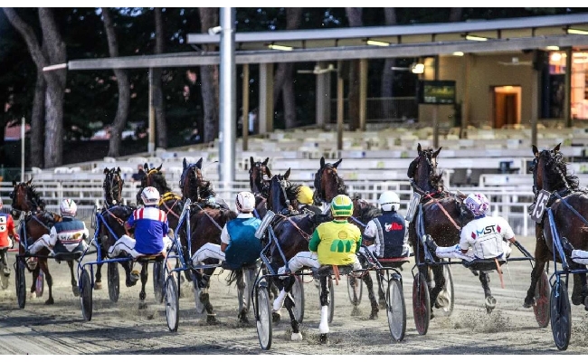 Ippica Ippodromo di Cesena: venerdì 26 giugno corse dalle 20:45 con TQQ nel nome del Circolo Aurora di Forlì