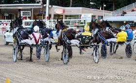 Ippica Ippodromo Cesena sabato 27 giugno sette corse 20.45 Premio Summertrade