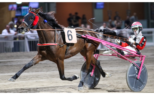 Ippica Ippodromo di Cesena: resoconto delle corse di sabato 27 giugno 2026