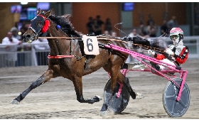 Ippica Ippodromo di Cesena: resoconto delle corse di sabato 27 giugno 2026