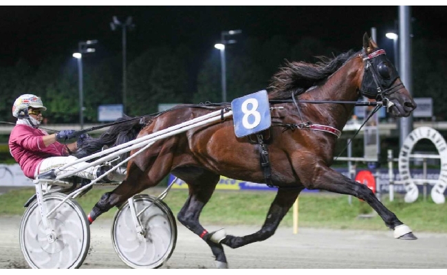 Ippica Ippodromo di Cesena: sabato 4 luglio con il Gran Premio Riccardo Grassi il Savio ospita la prima classica della stagione