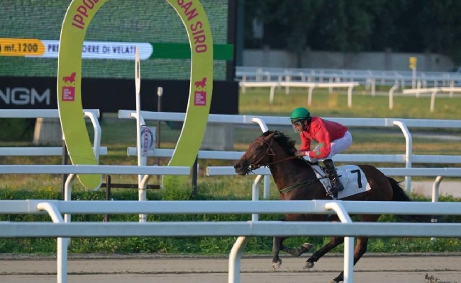 Ippica il martedì sera di galoppo all’Ippodromo Snai San Siro nel segno di Mwaki e di Dothan che vincono le due prove sulla sabbia più interessanti ereditate da Varese