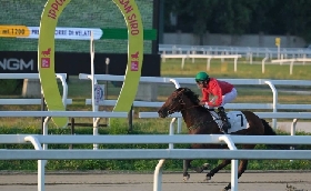 Ippica il martedì sera di galoppo all’Ippodromo Snai San Siro nel segno di Mwaki e di Dothan che vincono le due prove sulla sabbia più interessanti ereditate da Varese