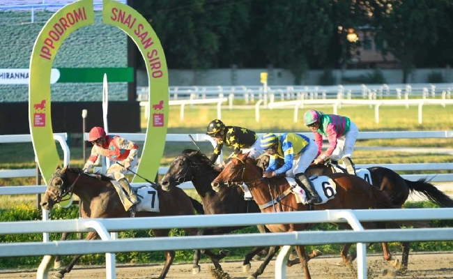 Ippica: all’Ippodromo Snai San Siro bel sabato di galoppo in notturna con Vega Dawn e Badger’s Cove protagonisti negli handicap di classe 4 sui 2.100 e 1.500 metri