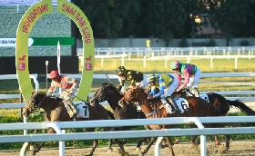 Ippica: all’Ippodromo Snai San Siro bel sabato di galoppo in notturna con Vega Dawn e Badger’s Cove protagonisti negli handicap di classe 4 sui 2.100 e 1.500 metri