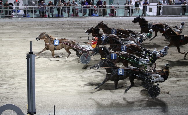 Ippica Ippodromo di Cesena: Elise Ana si aggiudica il GP Grassi 2026