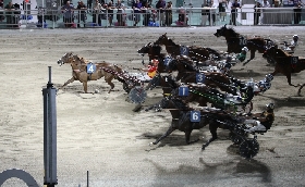Ippica Ippodromo di Cesena: Elise Ana si aggiudica il GP Grassi 2026
