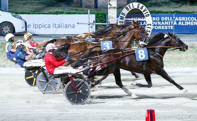 Ippica Ippodromo di Cesena: Tomaso Grassi Drivers Award la semifinale del 7 luglio qualifica Pettinari. Bat Host vola nel centrale