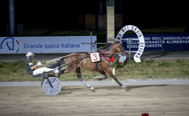 Ippica Ippodromo Cesena: Domingo Bar vince il Premio Fattoria Nicolucci