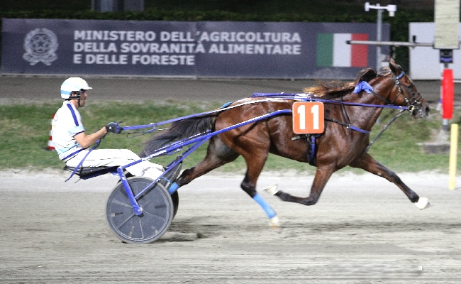 Ippica Ippodromo Cesena domani Tris Savio Premio ANIOC