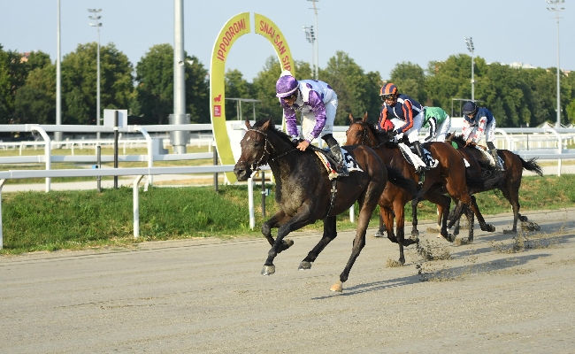 Ippica all’Ippodromo Snai San Siro il martedì di galoppo prima della pausa estiva è nel segno di Anthaia che la spunta nel Premio Città di Napoli