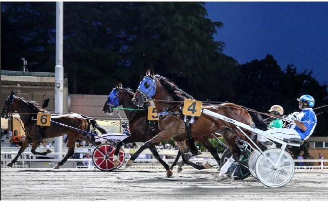 Ippica Ippodromo di Cesena: venerdì 17 luglio sette corse dalle 20:45. Il clou è il Premio Loreto per quattro anni