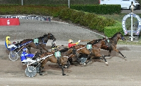 Ippica il venerdì di trotto all'Ippodromo Snai Sesana vede protagonista Frida Gso nella corsa per il Tqq