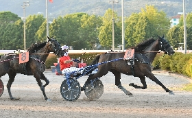Ippica domenica di trotto all’Ippodromo Snai Sesana: Gran Premio Società Terme al ritrovato Inimitable