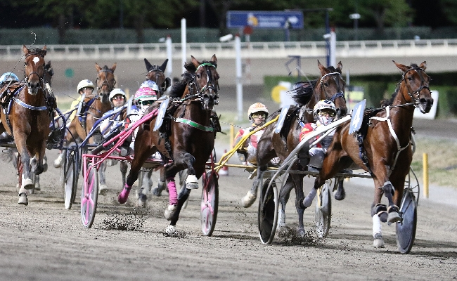 Ippica Ippodromo di Cesena: sabato 25 luglio clou con gli allevatori della Romagna